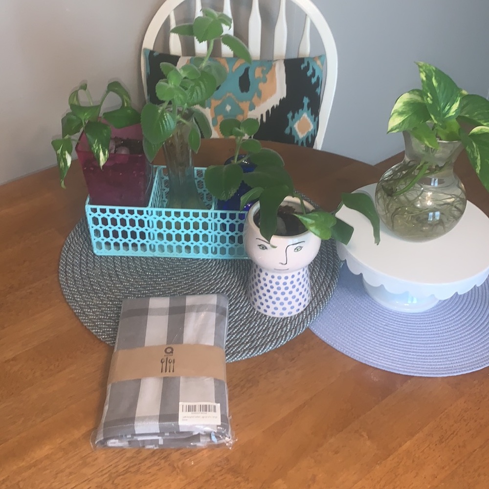 Quiltina New In Package set of four placemats, gray checkered 100% cotton BOGO 🌻
